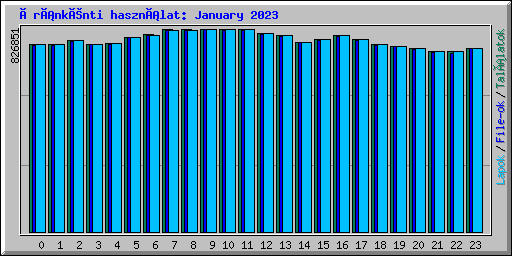 Óránkénti használat: January 2023